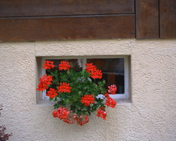 Church Small Windows